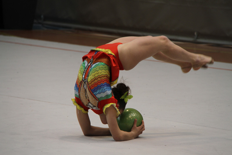 Todo preparado para el Torneo Reino de Navarra 2012